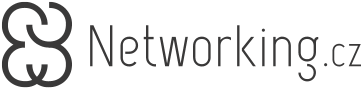 Networking logo 2